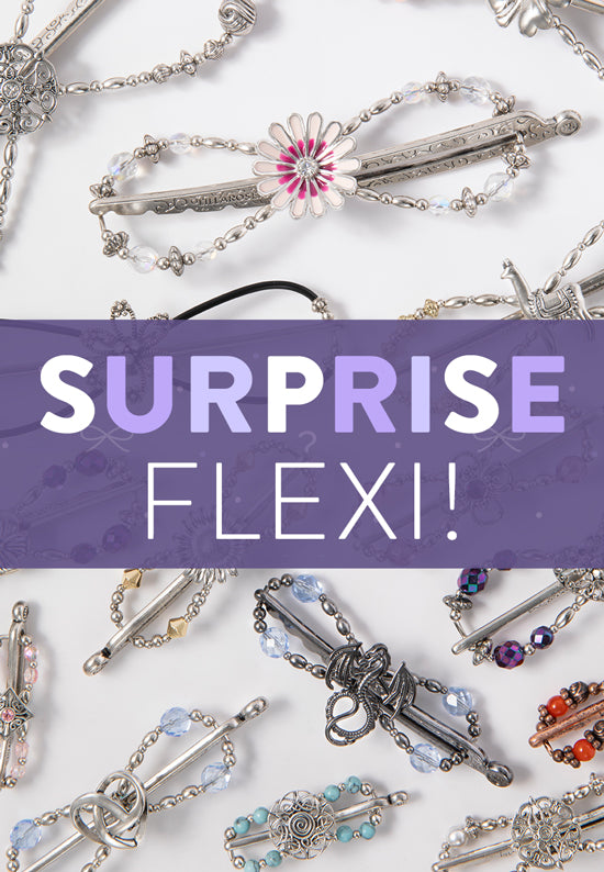 Variety of Surprise Flexis - Flexi designs may vary.